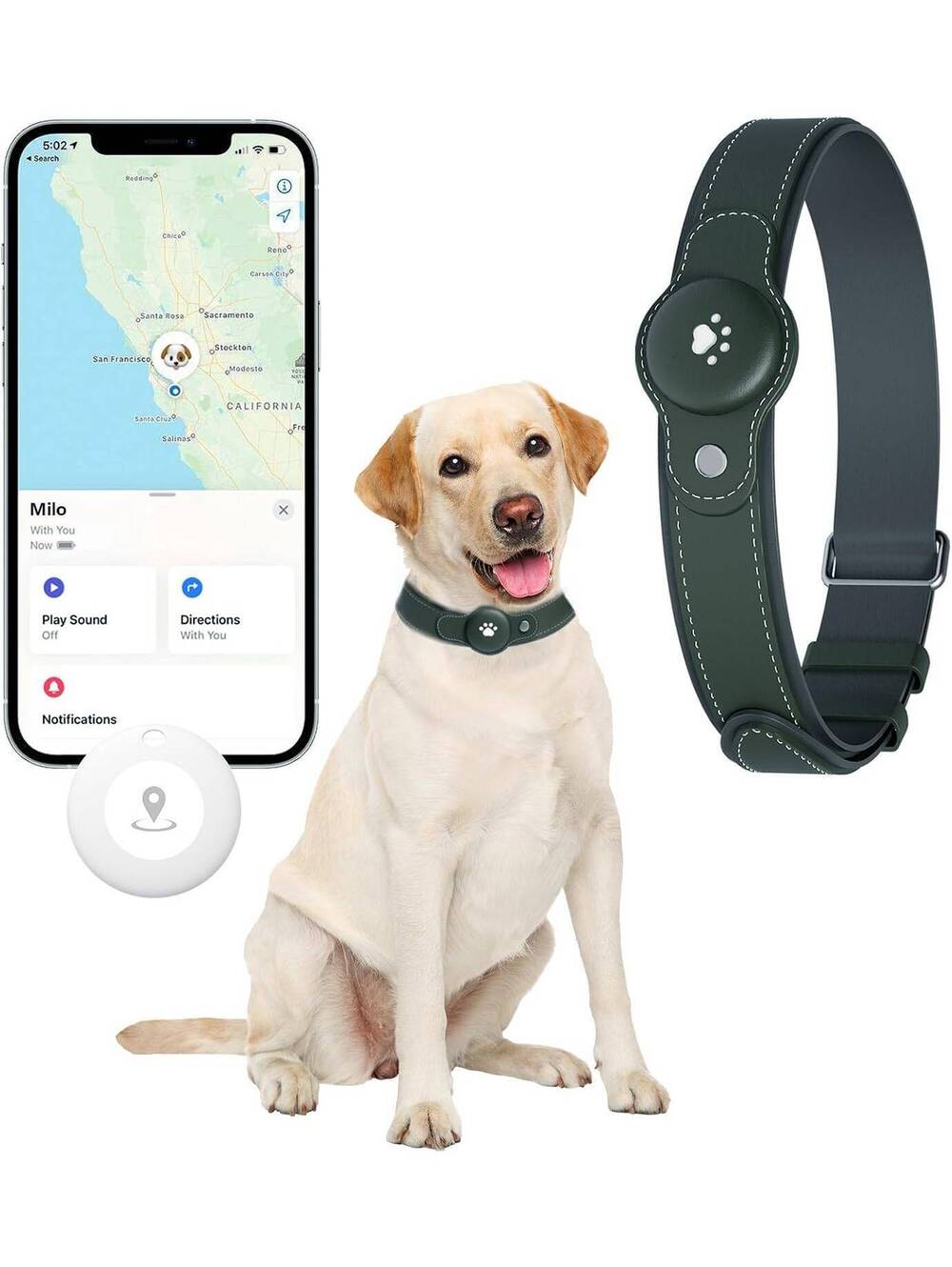 GPS Tracker for Dogs- Real-Time Pet Location Collar, Waterproof, No Subscription